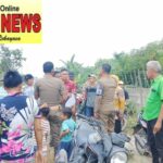 Himbauan Terahir ! Satpol PP, Desak Peternak Babi Kosongkan Kandang Di Tengah Pemukiman Warga.